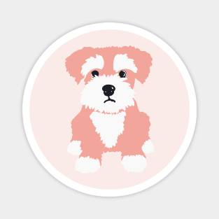 Sweet Pink Miniature Schnauzer Puppy on Dark Blue Background Magnet